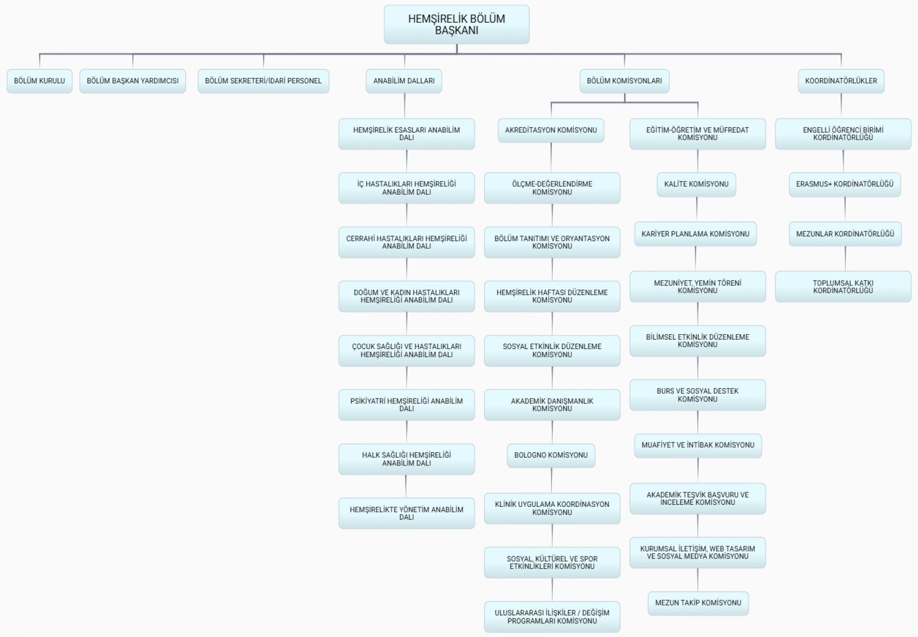 organizasyon şeması hemsirelik.jpg